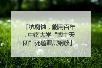抗腐蚀，能用百年，中南大学“博士天团”死磕覆层钢筋