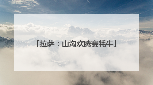 拉萨：山沟欢腾赛牦牛