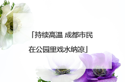 持续高温 成都市民在公园里戏水纳凉