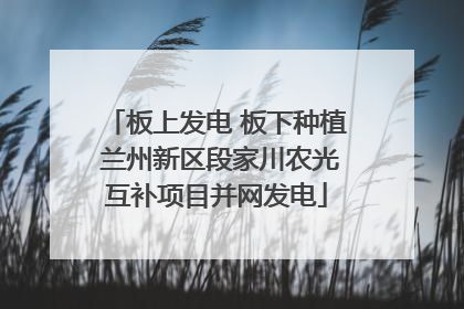 板上发电 板下种植 兰州新区段家川农光互补项目并网发电