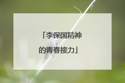 李保国精神的青春接力