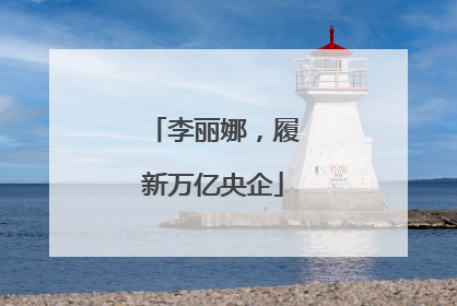 李丽娜，履新万亿央企
