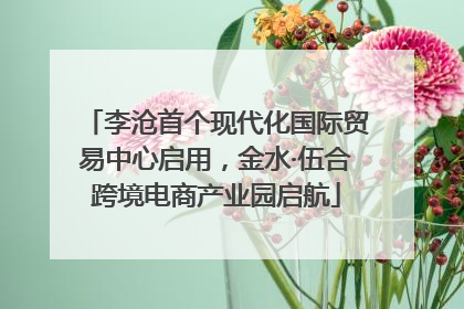 李沧首个现代化国际贸易中心启用，金水·伍合跨境电商产业园启航