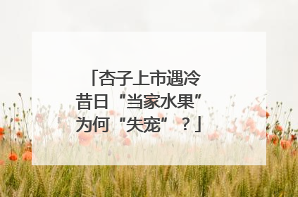 杏子上市遇冷 昔日“当家水果”为何“失宠”？