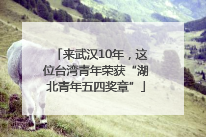 来武汉10年，这位台湾青年荣获“湖北青年五四奖章”
