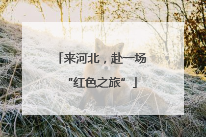 来河北，赴一场“红色之旅”