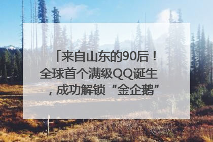 来自山东的90后！全球首个满级QQ诞生，成功解锁“金企鹅”，是继承父亲账号
