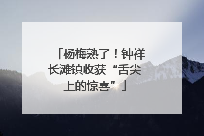杨梅熟了！钟祥长滩镇收获“舌尖上的惊喜”
