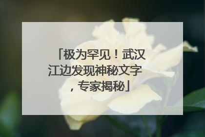极为罕见！武汉江边发现神秘文字，专家揭秘