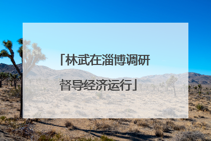 林武在淄博调研督导经济运行
