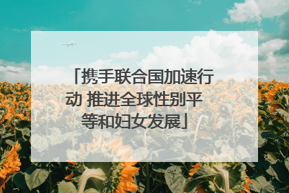 携手联合国加速行动 推进全球性别平等和妇女发展