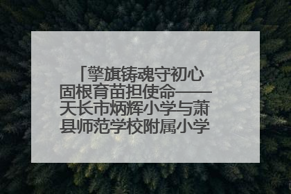 擎旗铸魂守初心 固根育苗担使命——天长市炳辉小学与萧县师范学校附属小学结对共建活动纪实