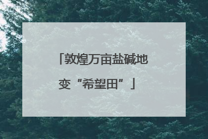 敦煌万亩盐碱地变“希望田”