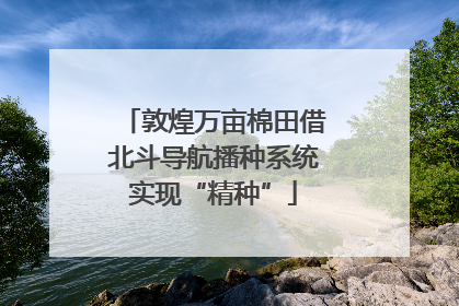 敦煌万亩棉田借北斗导航播种系统实现“精种”
