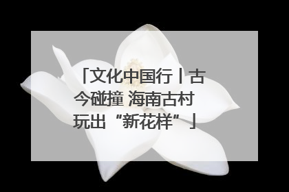 文化中国行丨古今碰撞 海南古村玩出“新花样”