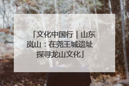 文化中国行｜山东岚山：在尧王城遗址探寻龙山文化
