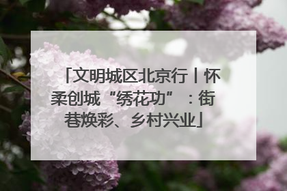 文明城区北京行丨怀柔创城“绣花功”：街巷焕彩、乡村兴业