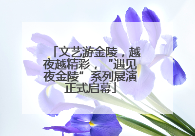 文艺游金陵，越夜越精彩，“遇见夜金陵”系列展演正式启幕