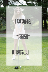 斑海豹“汤圆”归海记