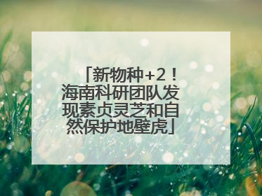 新物种+2！海南科研团队发现素贞灵芝和自然保护地壁虎
