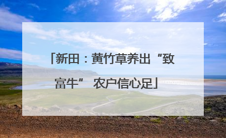 新田：黄竹草养出“致富牛” 农户信心足