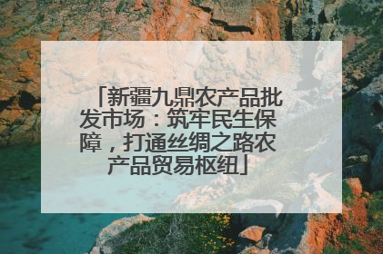 新疆九鼎农产品批发市场：筑牢民生保障，打通丝绸之路农产品贸易枢纽