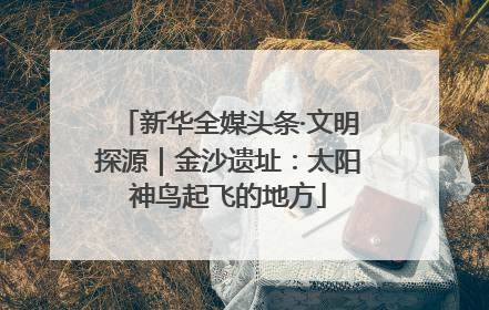 新华全媒头条·文明探源｜金沙遗址：太阳神鸟起飞的地方