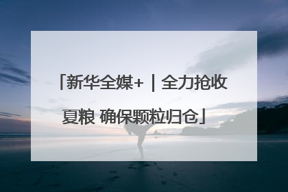 新华全媒+｜全力抢收夏粮 确保颗粒归仓