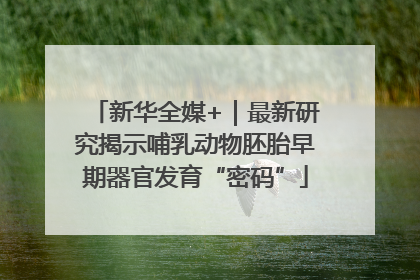 新华全媒+｜最新研究揭示哺乳动物胚胎早期器官发育“密码”