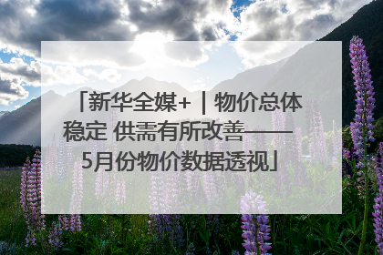 新华全媒+｜物价总体稳定 供需有所改善——5月份物价数据透视