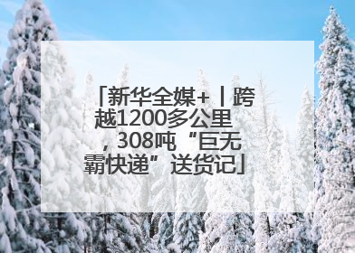 新华全媒+丨跨越1200多公里，308吨“巨无霸快递”送货记