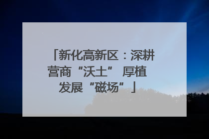 新化高新区：深耕营商“沃土” 厚植发展“磁场”