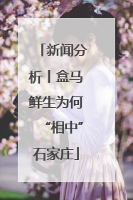 新闻分析丨盒马鲜生为何“相中”石家庄