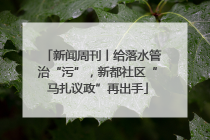新闻周刊丨给落水管治“污”，新都社区“马扎议政”再出手