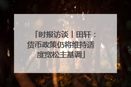 时报访谈丨田轩：货币政策仍将维持适度宽松主基调