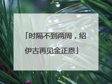 时隔不到两周，绍伊古再见金正恩