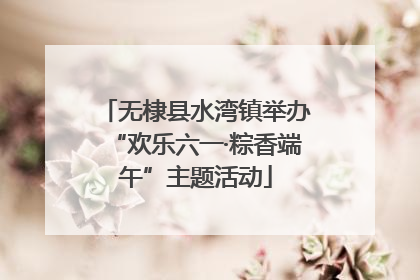 无棣县水湾镇举办“欢乐六一·粽香端午”主题活动