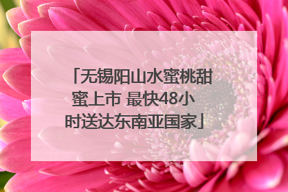 无锡阳山水蜜桃甜蜜上市 最快48小时送达东南亚国家