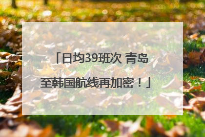 日均39班次 青岛至韩国航线再加密！