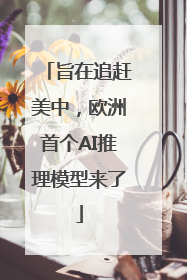 旨在追赶美中，欧洲首个AI推理模型来了