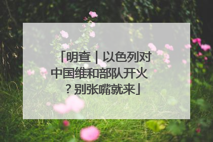 明查｜以色列对中国维和部队开火？别张嘴就来