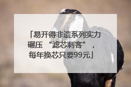 易开得非遗系列实力碾压 “滤芯刺客”，每年换芯只要99元