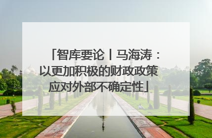 智库要论丨马海涛：以更加积极的财政政策应对外部不确定性