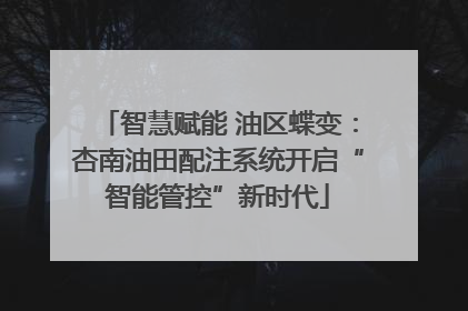 智慧赋能 油区蝶变：杏南油田配注系统开启“智能管控”新时代