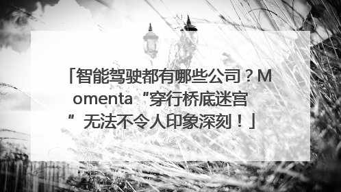 智能驾驶都有哪些公司？Momenta“穿行桥底迷宫”无法不令人印象深刻！