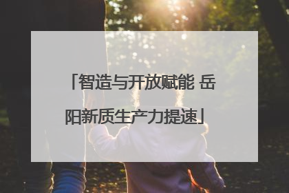 智造与开放赋能 岳阳新质生产力提速