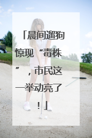 晨间遛狗惊现“毒株”，市民这一举动亮了！
