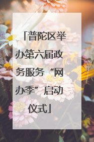 普陀区举办第六届政务服务“网办季”启动仪式