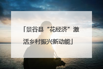 景谷县“花经济”激活乡村振兴新动能