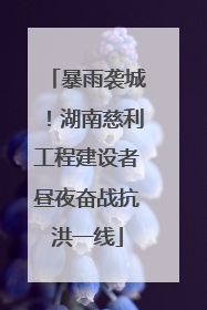 暴雨袭城！湖南慈利工程建设者昼夜奋战抗洪一线